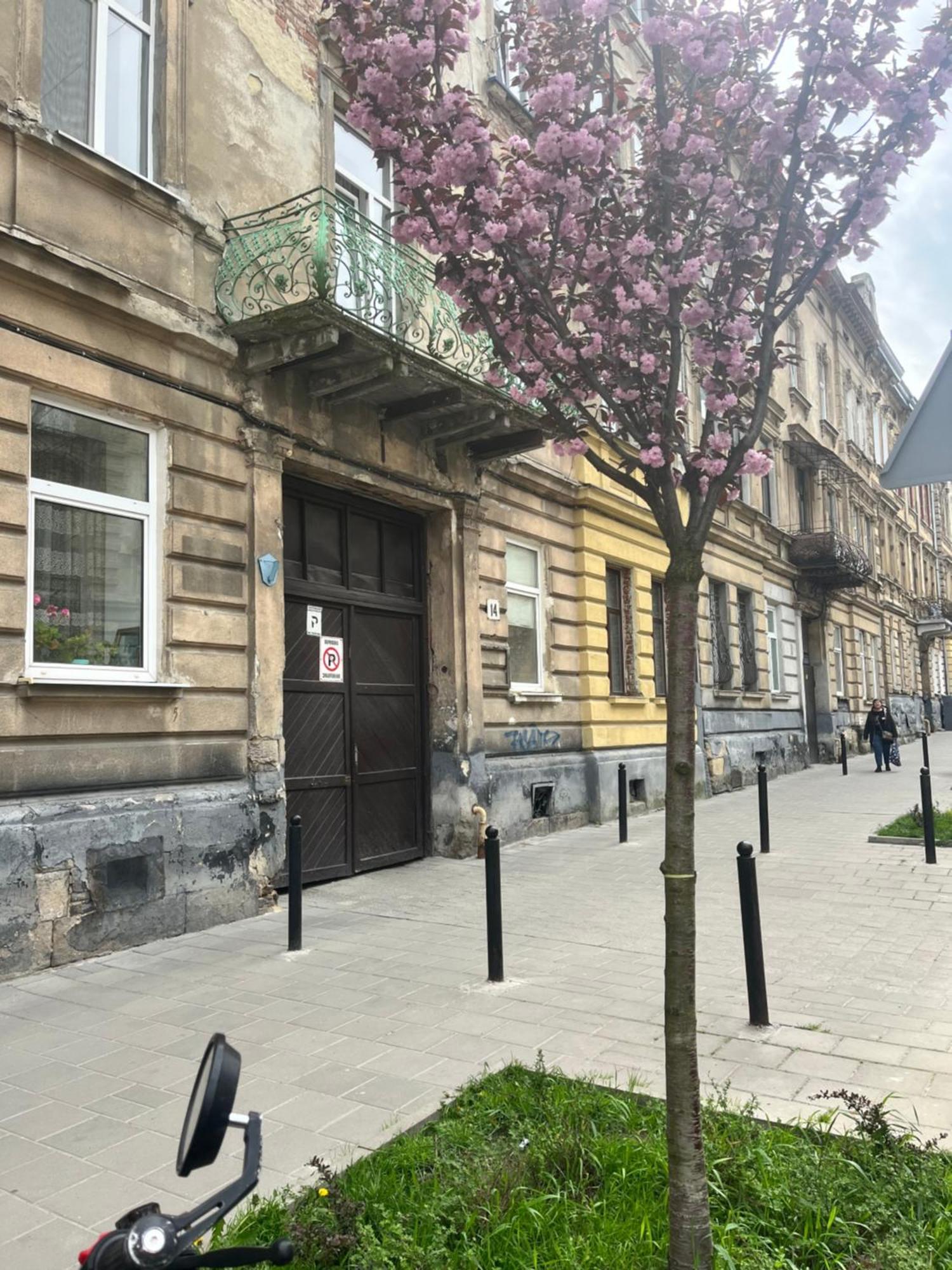 Medova Apartments Lviv Exterior foto